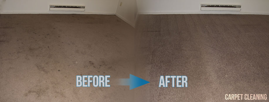 carpet cleaning services