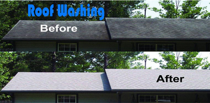 roof cleaning services